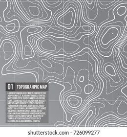 Abstract vector topographic map color background with space for your copy. Business presentation concept. Vector pattern illustration. Template of topography