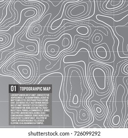 Abstract vector topographic map color background with space for your copy. Business presentation concept. Vector pattern illustration. Template of topography