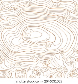 Abstract vector topographic map with isolines on white background