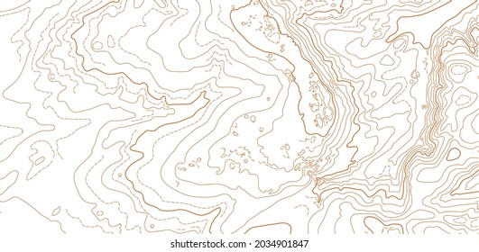 Abstract vector topographic map on white background