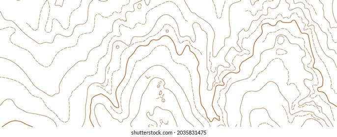 Abstract vector topographic map on white background