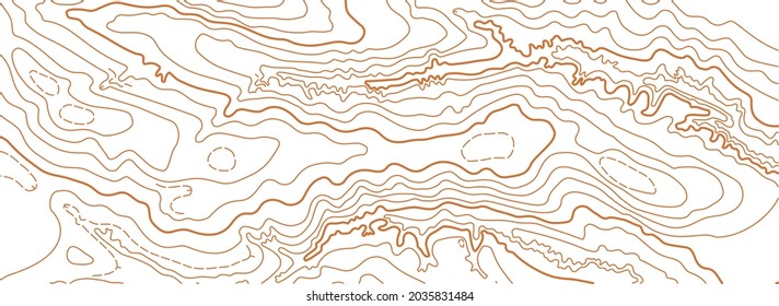 Abstract vector topographic map on white background