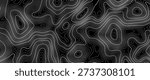 Abstract Vector Topographic Map Texture with White Contour Lines on Black Background