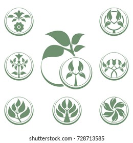 Abstract vector tree emblem. Eco lifestyle concept template.