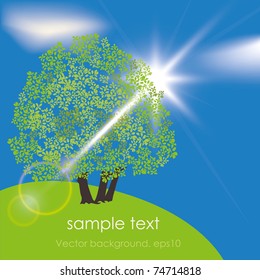 Abstract vector tree on the meadow in sunny summer day. EPS10