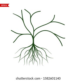 Abstract vector tree with roots and no leaves, white background