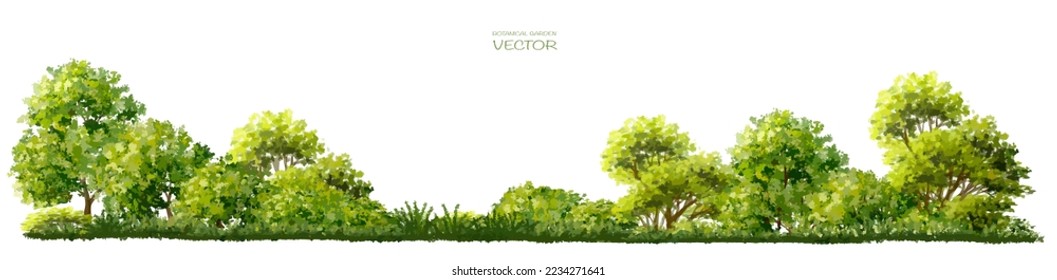 Abstract vector watercolor tree or forest side view isolated on white background for landscape and architecture drawing,elements for environment and garden,botanical for section and elevation