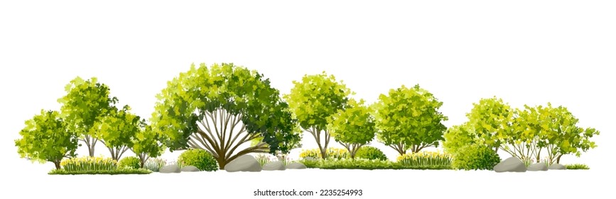 Abstract vector watercolor ,tree or forest side view isolated on white background for landscape and architecture drawing,elements for environment and garden,botanical for section and elevation