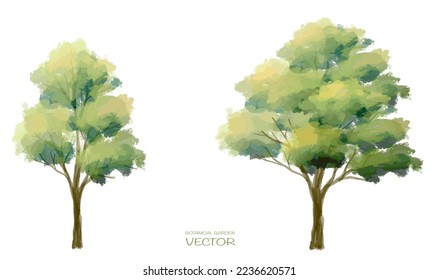 Abstract vector watercolor ,tree or forest side view isolated on white background for landscape and architecture drawing,elements for environment and garden,botanical for section and elevation