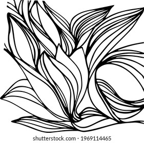 Abstract vector wave background of plants drawn lines.Illustration for coloring. Design for spiritual relaxation for adults. Black and white wallpaper.