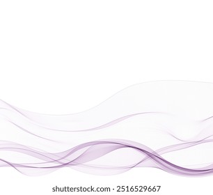 Abstract vector wave with shadow. purple curves.