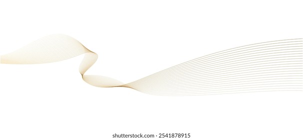 Abstract vector wavy lines flowing smooth curve gold gradient color on white background in concept of luxury, technology, science, music, modern.