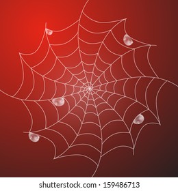 Abstract Vector White Cobweb With Rain Drops on Red Background