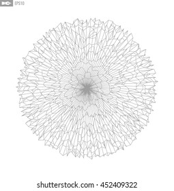 Abstract vector wireframe landscape background. Cyberspace grid. 3d technology wireframe vector illustration. Digital wireframe landscape for presentations .