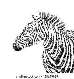 abstract vector zebra silhouette with grunge texture.