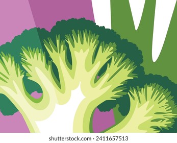 Abstract vegetable design in flat cut out style. Broccoli cross section and Closeup of Broccoli florets. Vector illustration.