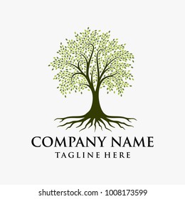 Abstract vibrant tree logo design, root vector - Tree of life logo design inspiration isolated on white background