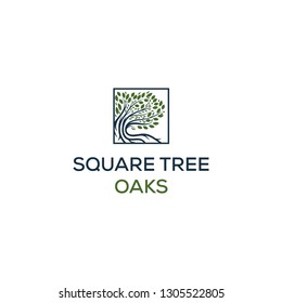 Abstract vibrant tree logo design, root vector
