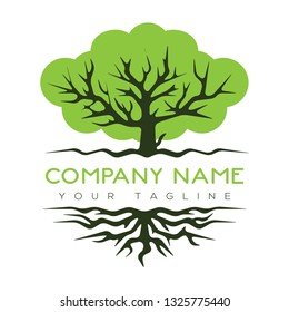 Abstract vibrant tree logo design, root vector - Tree of life logo design inspiration isolated on white background - Vector