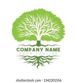 Abstract vibrant tree logo design, root vector - Tree of life logo design inspiration isolated on white background - Vector