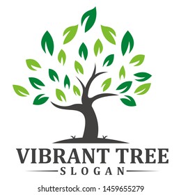Abstract vibrant tree logo design, root vector - Tree of life logo design inspiration isolated on white background