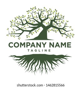 Abstract vibrant tree logo design, root vector - Tree of life logo design inspiration - Tree Logo - Tree Logo Company