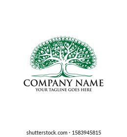 Abstract vibrant tree logo design, root vector - Tree of life logo design inspiration isolated on white background