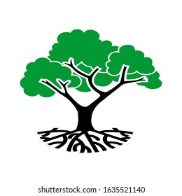 Abstract vibrant tree logo design, root vector - Tree of life logo design inspiration isolated on white background