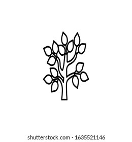 Abstract vibrant tree logo design, root vector - Tree of life logo design inspiration isolated on white background
