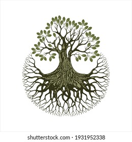 Abstract vibrant tree logo design, root vector - Tree of life logo design inspiration isolated on white background.