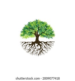 Abstract vibrant tree logo design, root vector - Tree of life logo design inspiration isolated on white background