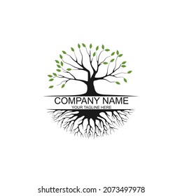 Abstract vibrant tree logo design, root vector - Tree of life logo design inspiration isolated on white background