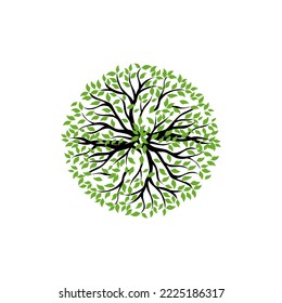 Abstract vibrant tree logo design, root vector - Tree of life logo design inspiration isolated on white background