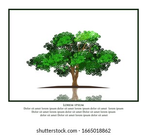 Abstract vibrant tree logo with rectangular frame, vector isolated.