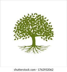 abstract vibrant tree logo and roots design illustration
