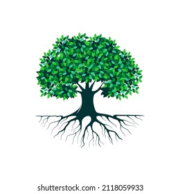 abstract vibrant tree logo and roots design illustration