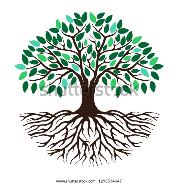 abstract\
vibrant tree logo and roots design\
illustration