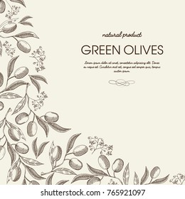 Abstract vintage natural poster with green olives branches in sketch style on light background vector illustration