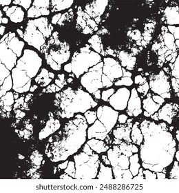 An abstract vintage texture in grunge black and white, featuring cracks, breaks, and stains. This grunge texture is characterized by damage and cracks