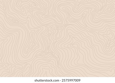 Abstract vintage topographic map background. Retro beige topographic lines backdrop. Mountain geographic line waves backdrop for presentations, banners, flyers