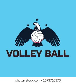 Diseño de la plantilla del logotipo de voleibol abstracto