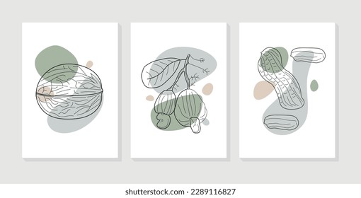 Abstract wall art vector collection with Walnut, Cashew, Peanut. Set of fruits with organic shapes for print, wallpaper, interior, poster, cover, banner. Vector illustration