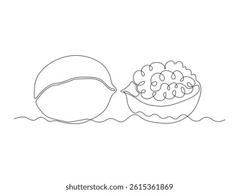 Abstract walnut and its half in the shell, continuous single one line art hand drawing sketch logo