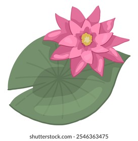 Abstract water lily plant. Lotus flower with leaf in cartoon style. Botanical clip art isolated on white. Single vector illustration.