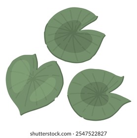 Abstract water lily plant in pond, green leaf pads. Lotus leaves in cartoon style. Botanical clip art isolated on white. Single vector illustration.