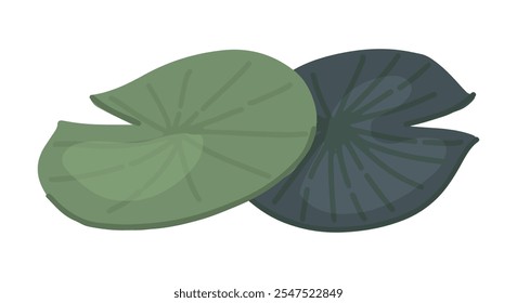 Abstract water lily plant in pond, green leaf pads. Lotus leaves in cartoon style. Botanical clip art isolated on white. Single vector illustration.