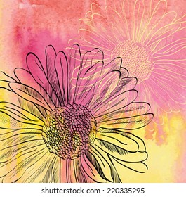 Abstract  watercolor background with daisy. Colourful template.