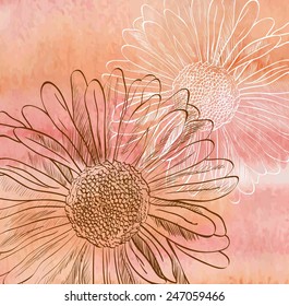 Abstract  watercolor background with daisy. Colourful template.