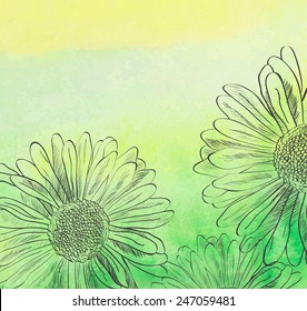 Abstract  watercolor background with daisy. Colourful template.