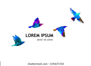 Abstract watercolor birds. Vector